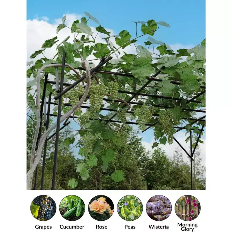 Large Garden Arch Trellis for Climbing Plants, Sturdy PP Garden Arbor, Outdoor Plant Support for Roses, Vines, Wedding & Garden Decoration